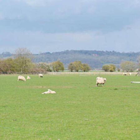 Vila Owl Barn Burmarsh Exteriér fotografie
