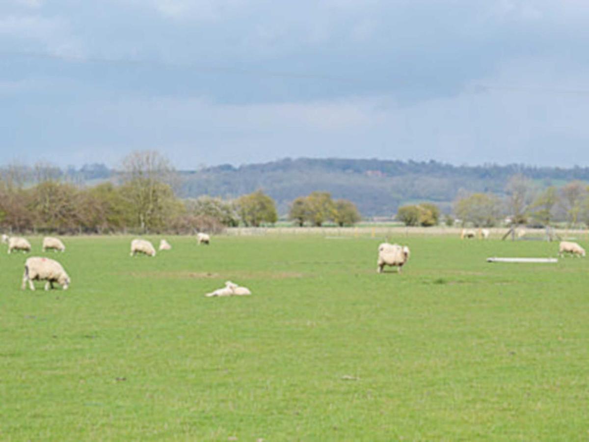 Vila Owl Barn Burmarsh Exteriér fotografie